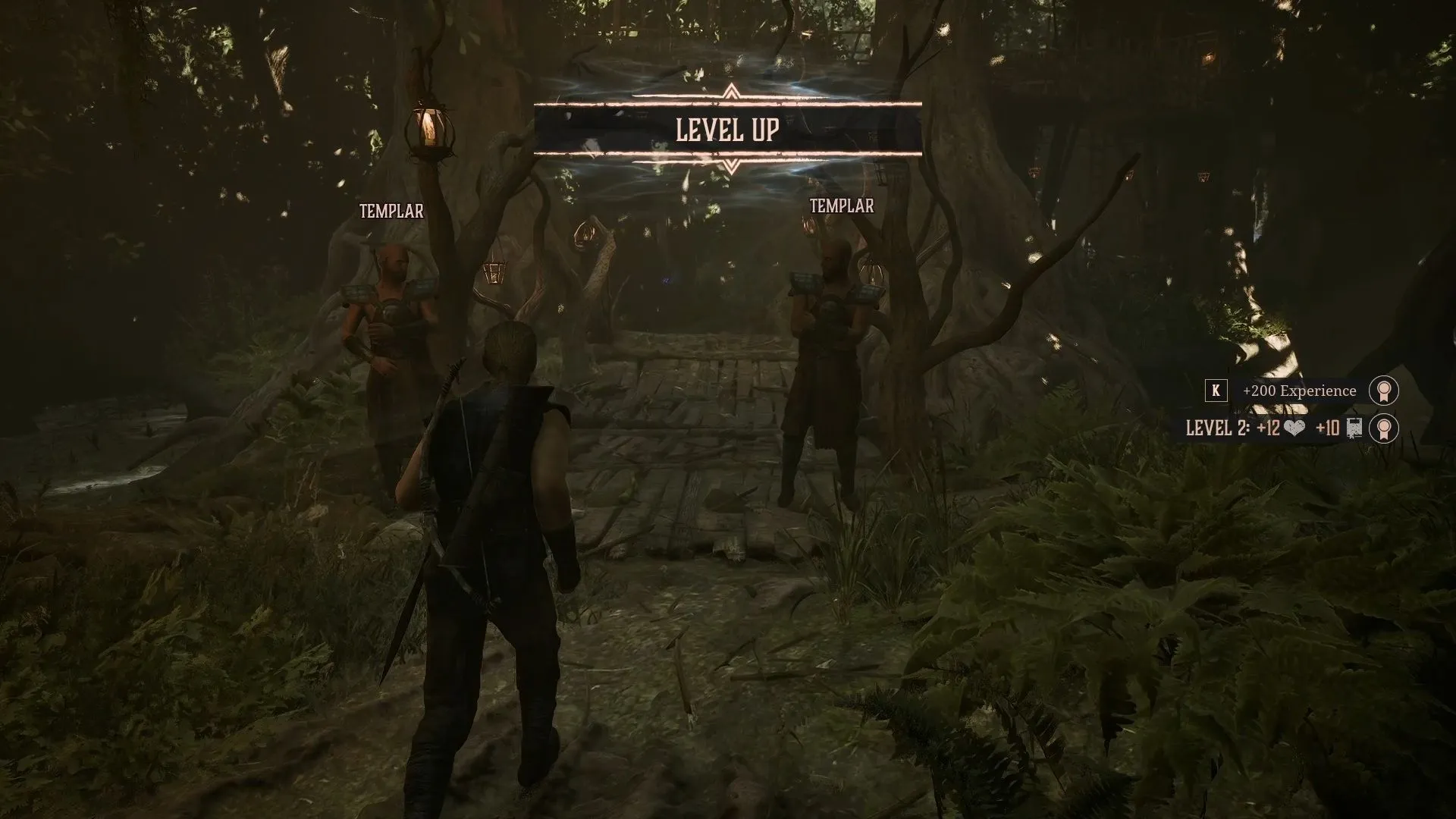 Swamp Camp path